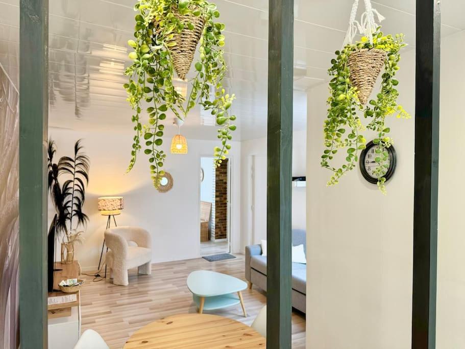 Appartement Le Vendays Plein De Charme Reims